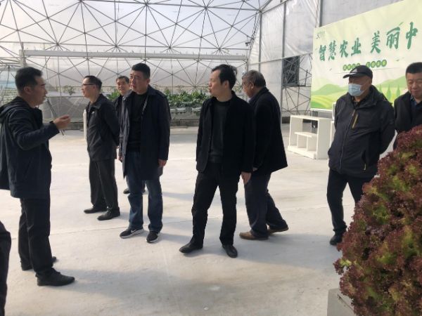 图片10_1680509215.jpg