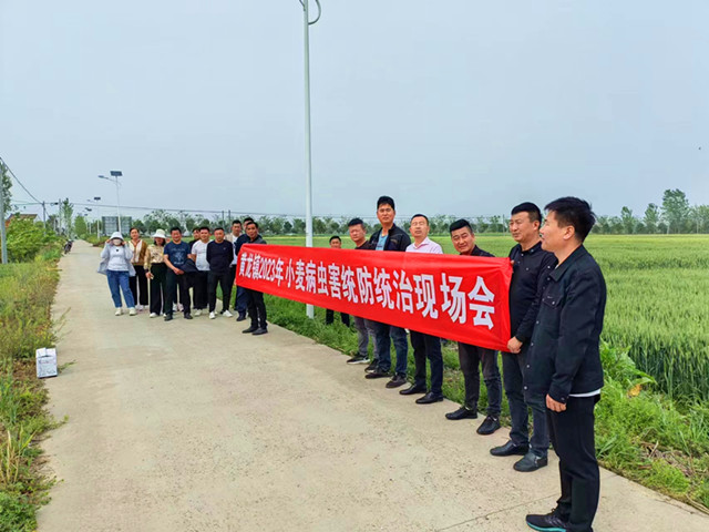 黄龙小麦一喷三防现场会_副本.jpg