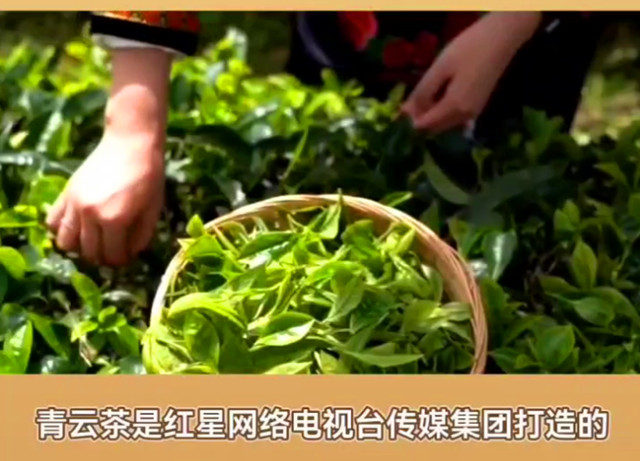 QQ图片20231210192436_副本.jpg