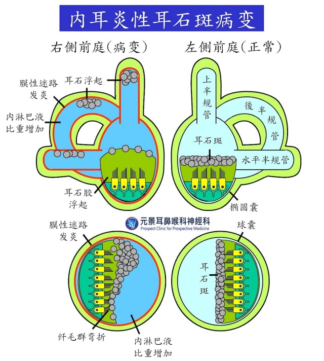 1709537630426071_副本.jpg