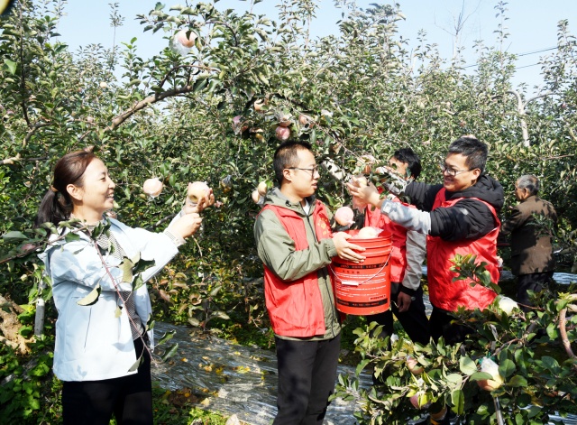 微信图片_20241029193841_副本.jpg