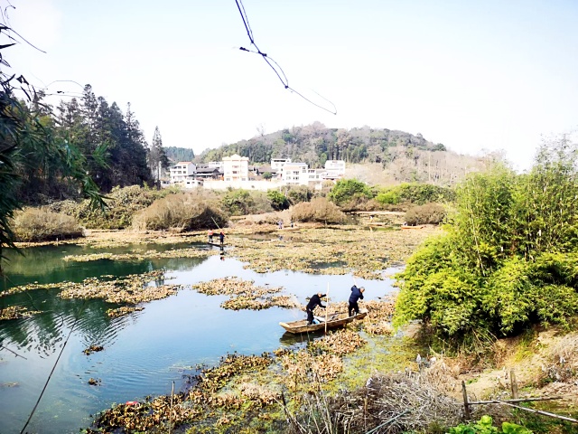 清理河道_副本.jpg