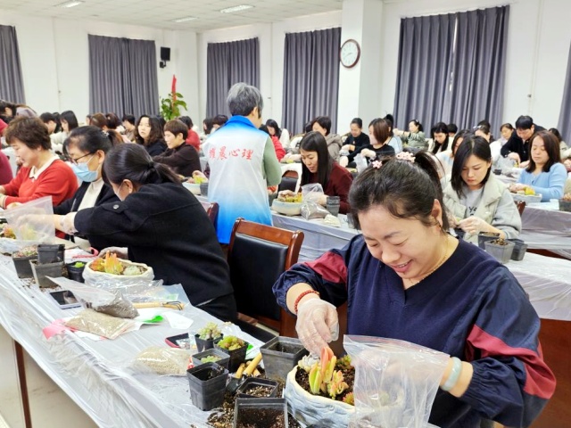 图片1_副本.jpg