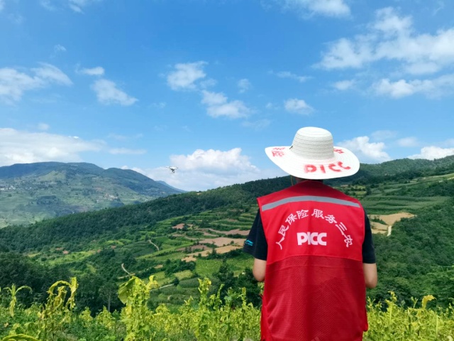 图片1_副本.jpg
