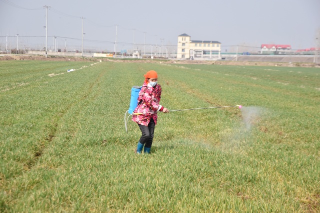 DSC_0009_副本.jpg