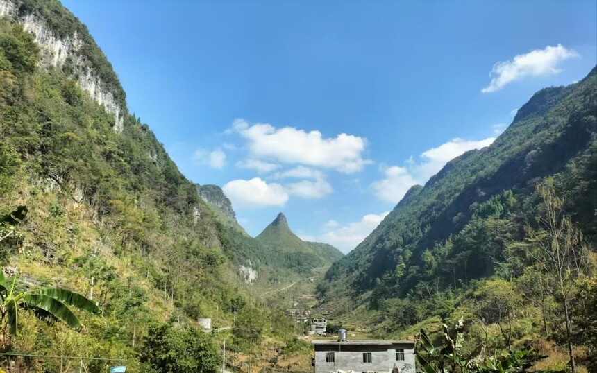 红18.jpg