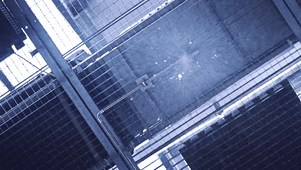 6.gif