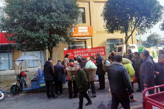 图片3_副本.jpg