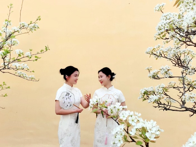 mmexport1745998013315_副本.jpg